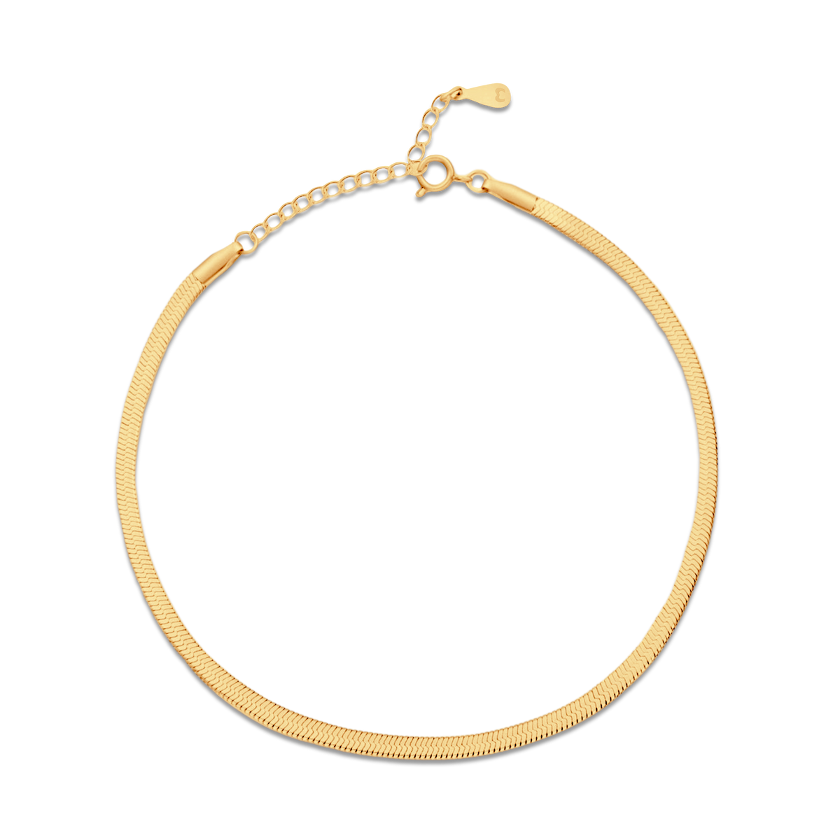 Cavigliera Taylor 3MM - Chiara Jewels