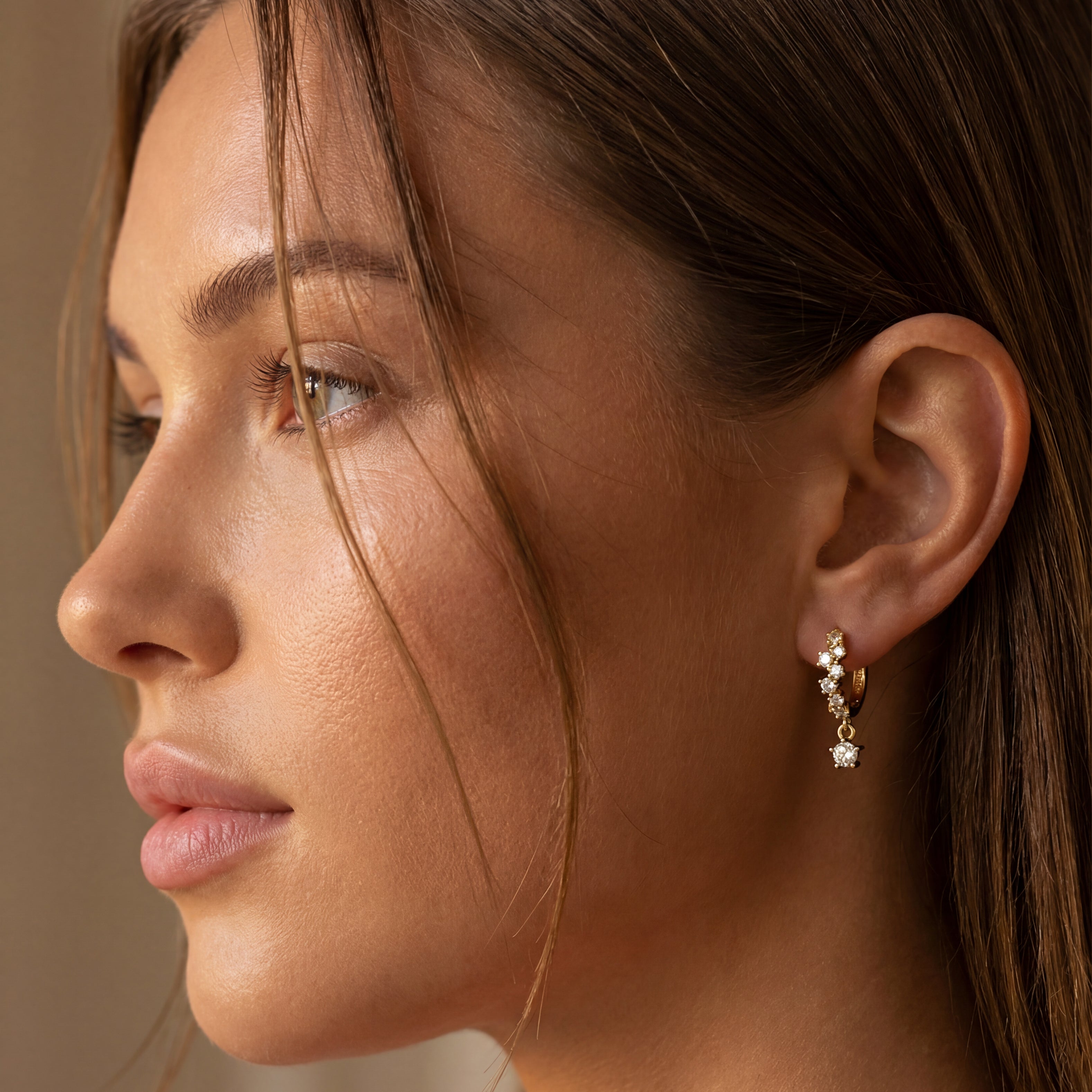 Orecchini Cerchio Adamantino