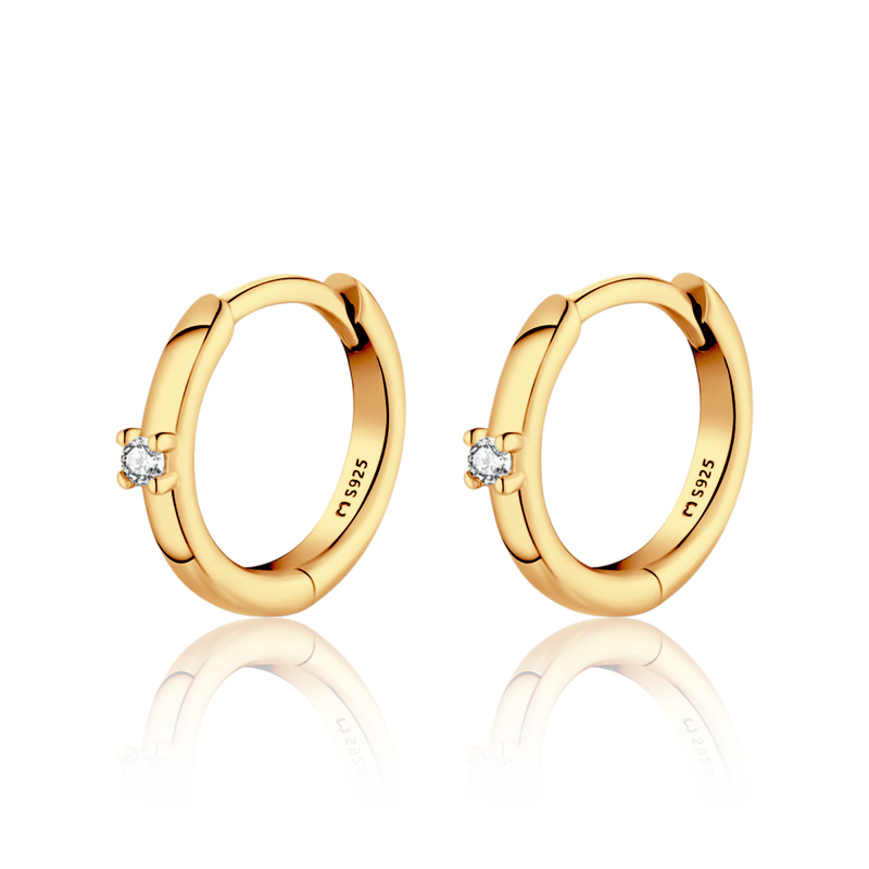 Orecchini Cerchio Elegantti