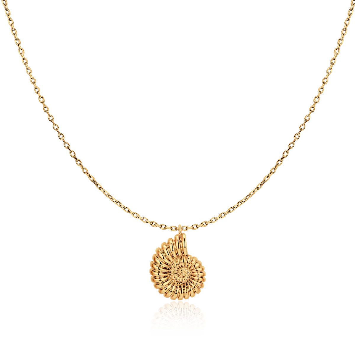 Collana Conchiglia di Nautilus - Chiara Jewels
