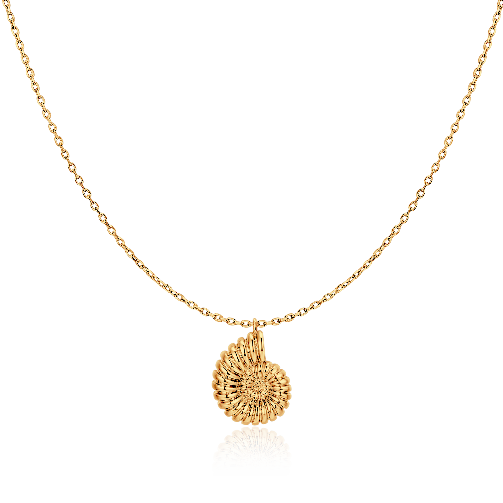 Collana Conchiglia di Nautilus