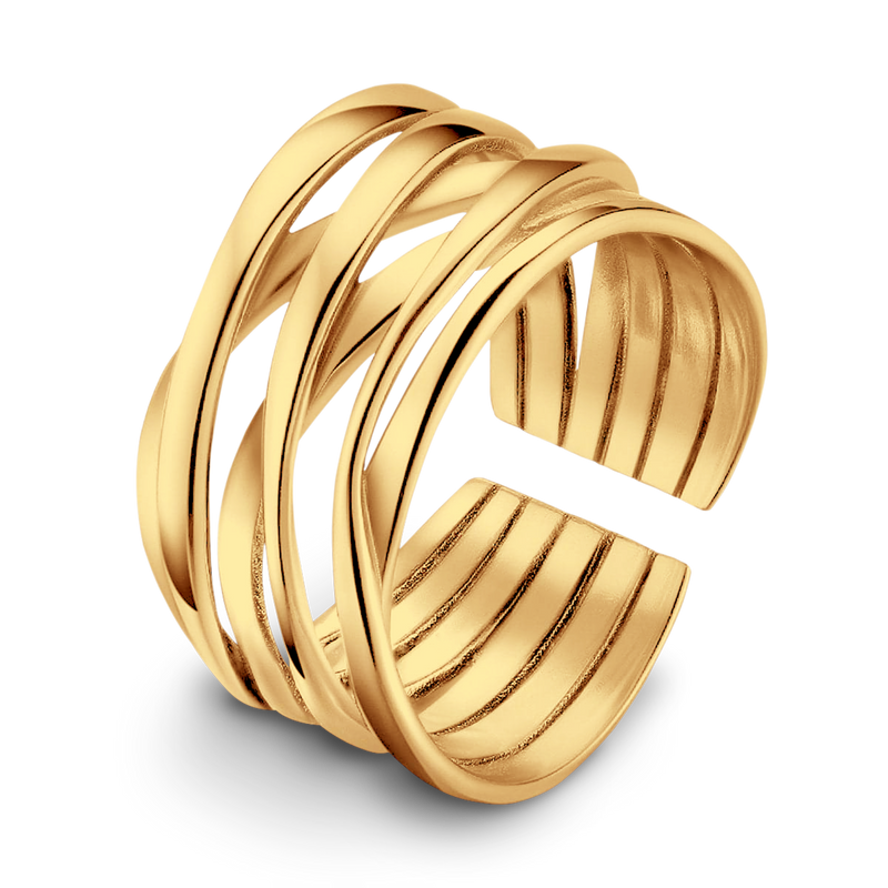 Anello Branch