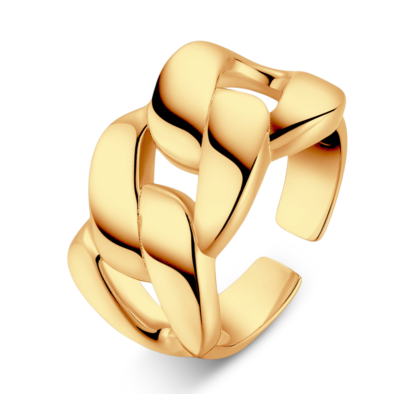 Anello Collegamento